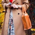 Bag in female hands closeup. Sunglasses in the hands woman. Fashion ladies accessories, bracelets, eyeglasses.