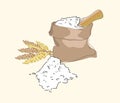 Bag of flour , shovel and ears of wheat. Vector illustration. a handful of flour