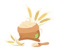 Bag of flour and wheat ears wooden scoop vector Royalty Free Stock Photo