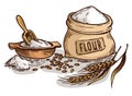 A bag of fresh burlap flour. Wooden dish and scoop on white background vector illustration Royalty Free Stock Photo