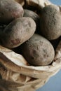 Bag of fresh potatos Royalty Free Stock Photo