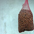 A bag full of hazelnuts