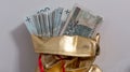 Bag full of polish money Royalty Free Stock Photo