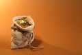 A Bag Fuul Of Money Royalty Free Stock Photo