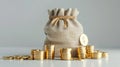 The Bag of Gold Coins.AI generated image Royalty Free Stock Photo