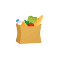 bag of groceries. Paper bag with a loaf of milk lettuce tomatoes and cucumbers. The farm s products. Vector illustration