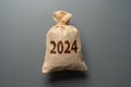 Bag with the inscription 2024.