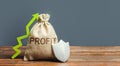 Bag with inscription Profit, a green arrow up and shield. Concept of protection of money, guaranteed deposits. Increasing Royalty Free Stock Photo