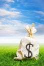 Bag full of money on grass Royalty Free Stock Photo
