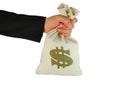 Bag of money in hand Royalty Free Stock Photo