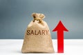 A bag with money and the inscription Salary and up arrow. increase of salary, wage rates. promotion, career growth. raising the Royalty Free Stock Photo