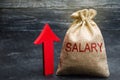 A bag with money and the inscription Salary and up arrow. increase of salary, wage rates. promotion, career growth. raising the Royalty Free Stock Photo