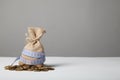 Bag with money and measuring tape on gold coins. Lack of money, poverty and savings