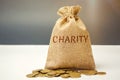 Bag of money and the word Charity. The concept of accumulating money for donations. Saving. Social medical help from volunteers. Royalty Free Stock Photo