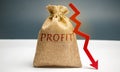 Bag with money and word profit and down arrow. Unsuccessful business and poverty. Profit decline. Loss of investment. Low wages.