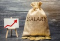 Bag with money and word Salary and up arrow and coins. Increase of salary, wage rates. Promotion. Career growth. Raising the Royalty Free Stock Photo