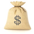 Bag rag with money Royalty Free Stock Photo