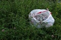 Bag of recyclables in grass