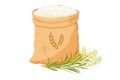 Bag of rice with bunch of ears. Vector illustration of grain harvest with plant stems.