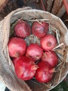 A bag of ripe red pomegranat