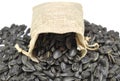 Bag of seeds on white background close-up. Seeds, food, crops Royalty Free Stock Photo