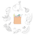 Hand drawn fruits and veges arounf the paper bag with groceries