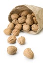 Bag of walnuts