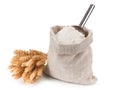 Bag of whole flour and bunch wheat on white background. Royalty Free Stock Photo