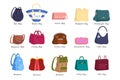 Bag for women set. Collection of handbag Royalty Free Stock Photo