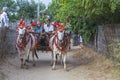 Decorated buffalo and local people who participated in the donation channeled ceremony Shinbyu, marking the samanera ordination of