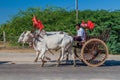 BAGAN, MYANMAR - DECEMBER 6, 2016: Zebu pulled cart on a road in Bagan, Myanm Royalty Free Stock Photo