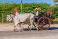 BAGAN, MYANMAR - DECEMBER 6, 2016: Zebu pulled cart on a road in Bagan, Myanm Royalty Free Stock Photo