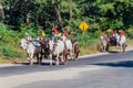 BAGAN, MYANMAR - DECEMBER 6, 2016: Zebu pulled carts on a road in Bagan, Myanm Royalty Free Stock Photo