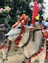 Bagan, Myanmar - 2019: Decorated bullock-cart in the traditional Shinbyu, buddhist novitiation ceremony Royalty Free Stock Photo