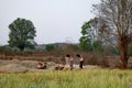 Bagan, Myanmar Ã¢â¬â February 23, 2016: Female workers in myanmar with the tipical colorful scarves on their heads winnowing the