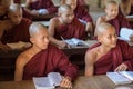 Young monks learning Buddhism in Bagan, Myanmar Royalty Free Stock Photo