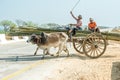 Traditional two-wheeled ox cart in Myanmar