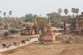 Bagan, Myanmar - March 2019: horse carriages driving tourists through ancient temples and pagodas