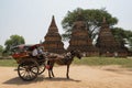 Bagan, Myanmar - May 6, 2017: Bagan ancient pagodas and a horse carriage