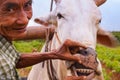 Myanmar Travel Images, farmer ploughing crop with two oxen