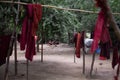 A few young monks sits in  forest clearence behing some buddhist robe laundry Royalty Free Stock Photo