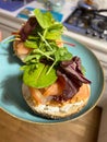 bagel with cheese and salmon, spinach and beetroot leaves, classic salmon sandwich, colorful sandwich on a plate Royalty Free Stock Photo