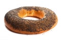 Bagel with poppy seeds isolated on white background Royalty Free Stock Photo