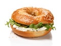 Bagel, Round Bread Bun, Wheat Bakery with Grains And Seeds for Breakfast, Plain Circle Bagel Bread