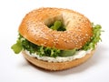 Bagel, Round Bread Bun, Wheat Bakery with Grains And Seeds for Breakfast, Plain Circle Bagel Bread