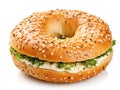 Bagel, Round Bread Bun, Wheat Bakery with Grains And Seeds for Breakfast, Plain Circle Bagel Bread