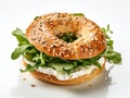 Bagel, Round Bread Bun, Wheat Bakery with Grains And Seeds for Breakfast, Plain Circle Bagel Bread