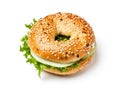 Bagel, Round Bread Bun, Wheat Bakery with Grains And Seeds for Breakfast, Plain Circle Bagel Bread