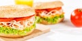 Bagel sandwich with chicken ham for breakfast close up panorama Royalty Free Stock Photo