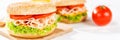 Bagel sandwich with chicken ham for breakfast close up panorama Royalty Free Stock Photo